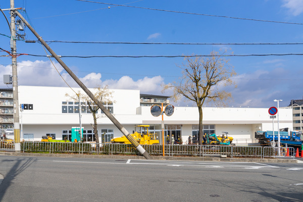 ウエルシア-2102043