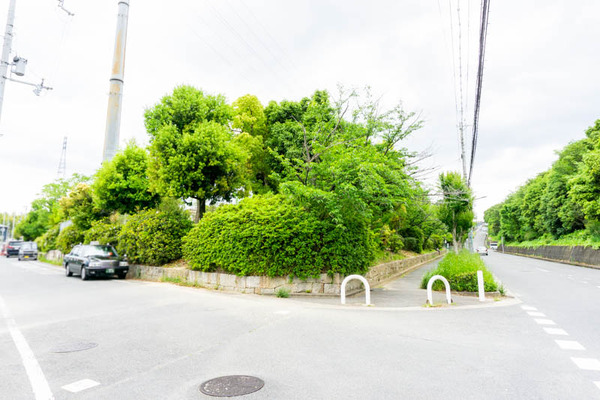 緑ヶ丘公園-2021051616