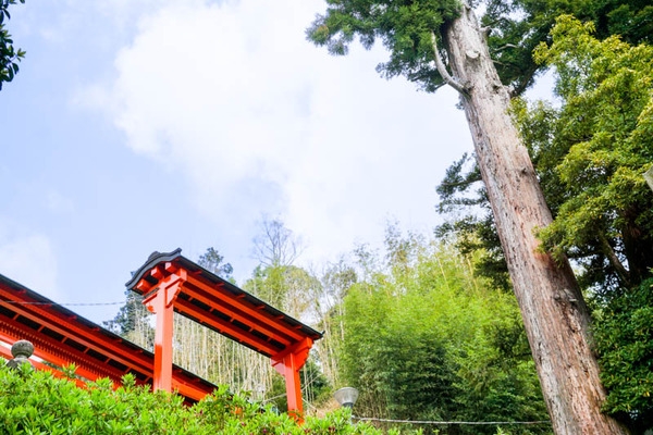 萩谷諏訪神社-202204222