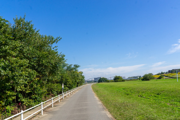 ワンド-2010264