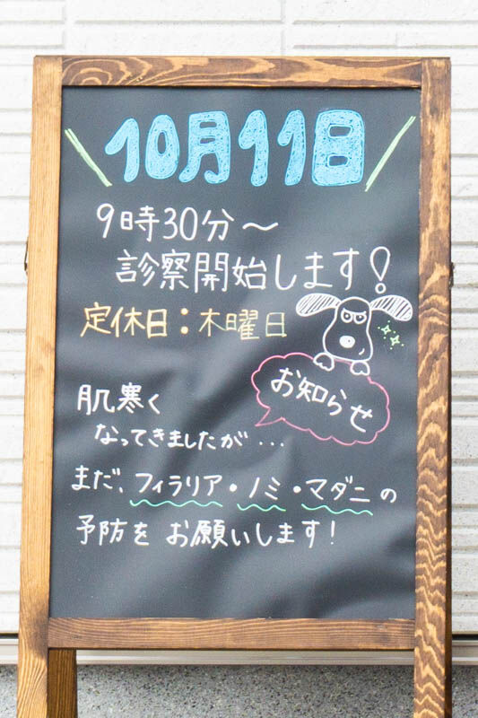 フレンズ動物病院20211016130353