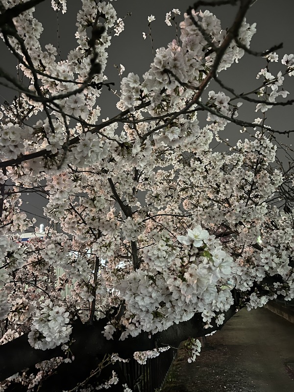 6EA8AC1D-5396-4EA0-B09F-14DC8A7789F3