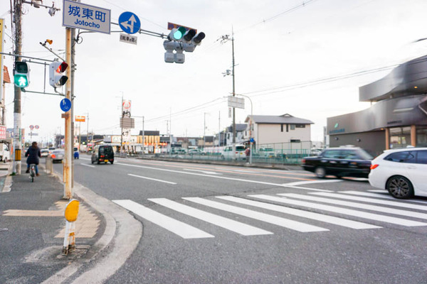 バーバーみどり動物病院-202201297