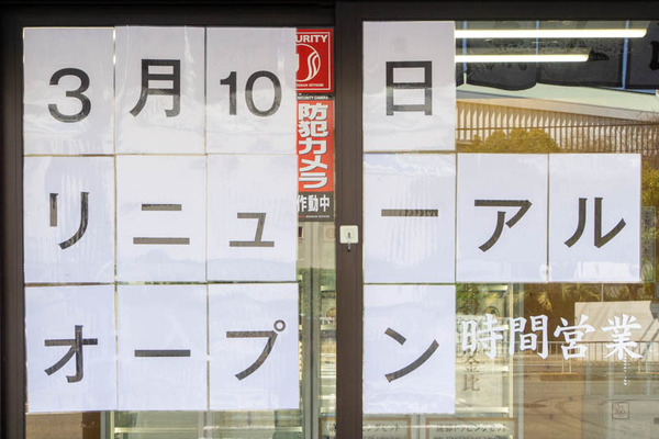 雪松20230323004727