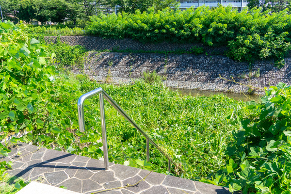 ★水無瀬川・島本水の文化園-2107213