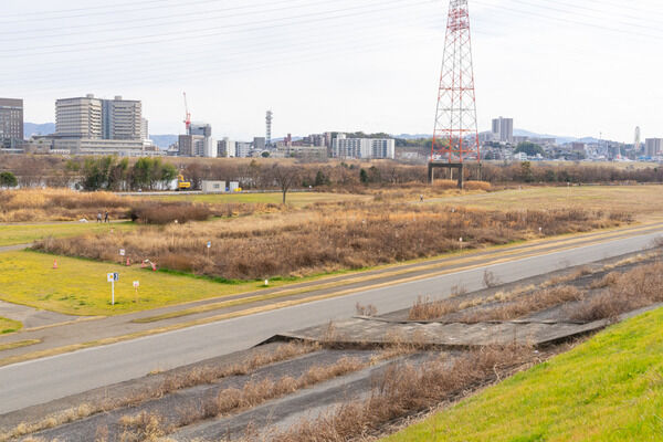 淀川河川公園大塚地区に野草迷路が設置されてるみたい。2月28日まで
