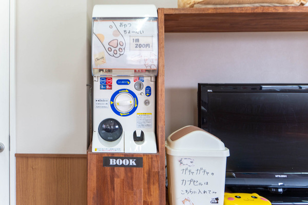 cherish20240417113722