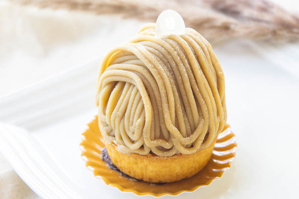 coconomi20230918125749