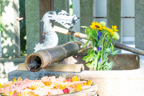 花手水野見神社-202108077