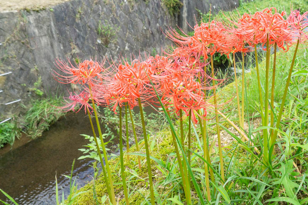 樫田20210920113952