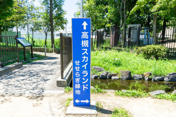 せせらぎ公園-2021080520
