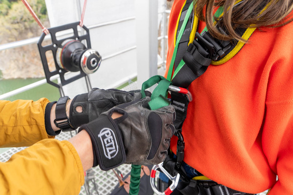 GRAVITATE20250407121856