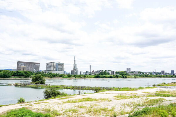 790073a7-s