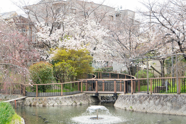 筒井池公園20240402135158