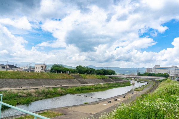 クイズ-2206221