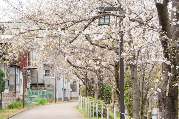 筒井池20250328110347