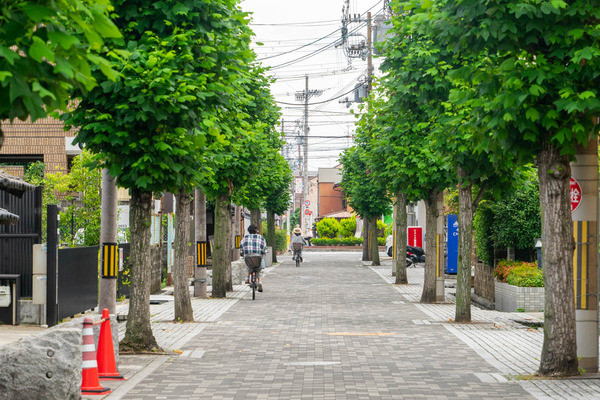 クイズ-2206221