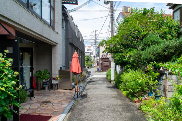 GREEN MIND-202107151