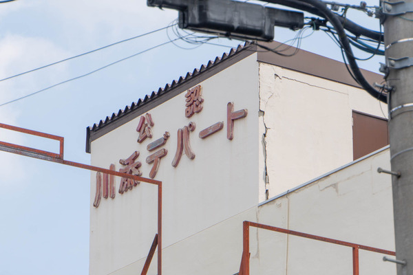 レイビー20241002101830