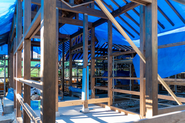 えびす20260110125948