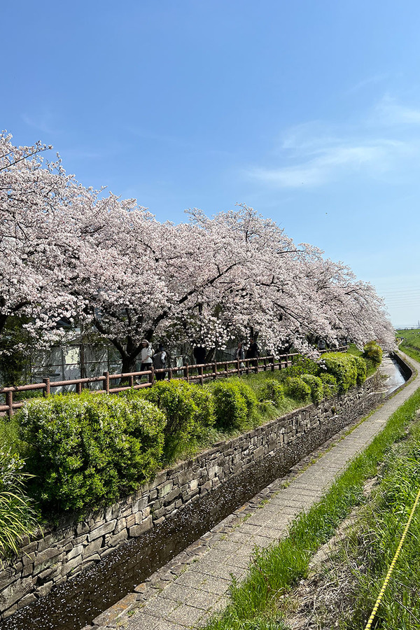 A51311B1-6A1F-4579-9AD6-C5F1720048DB