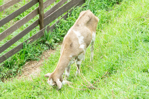 THEFARM20230822103727