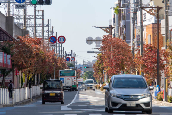 紅葉20231023111909