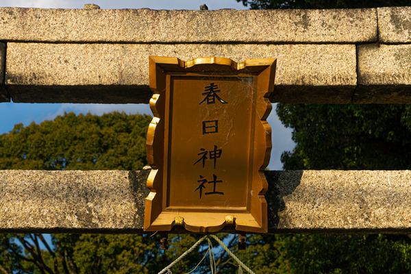 春日神社-2012224