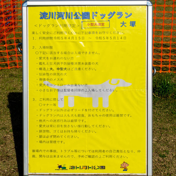 ドッグラン20230428033608