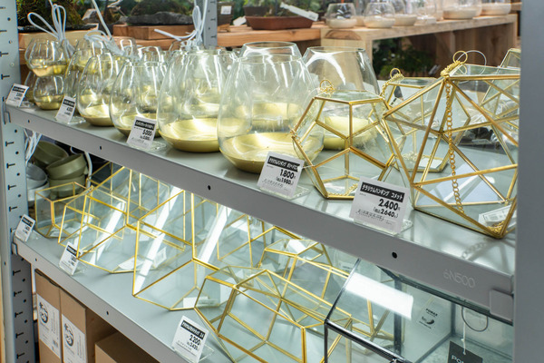 ビバホーム20250520093257