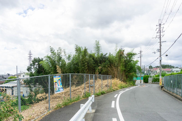 竹藪20210810123343