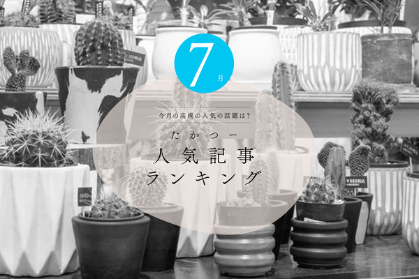 たかつーアクセス解析2023リナティ