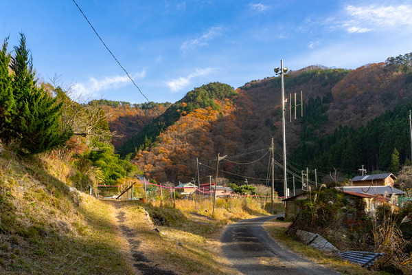 クイズ-2012111