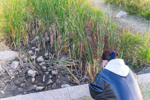 安満遺跡公園-20111226