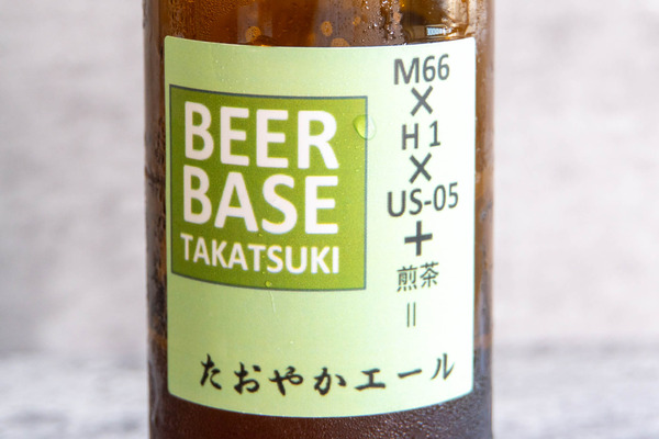 BEERBASE20240823140302