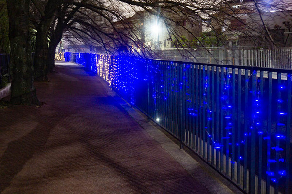 イルミネーション20210316193038