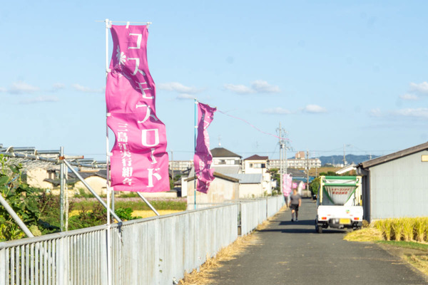 コスモス20231012154710