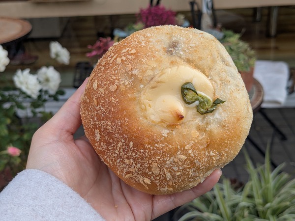 PXL_20251210_010123133