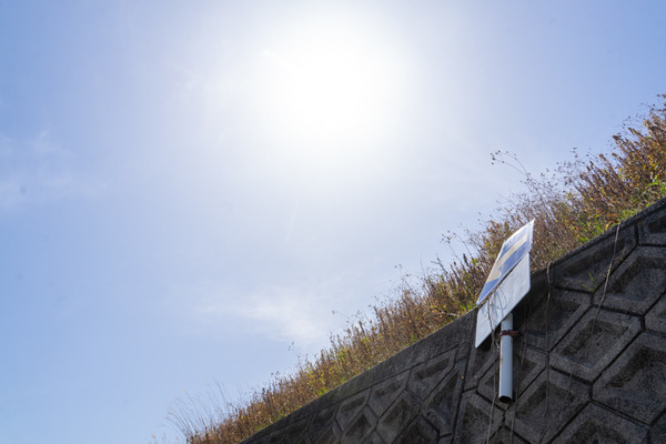 もう虫の息-2103114