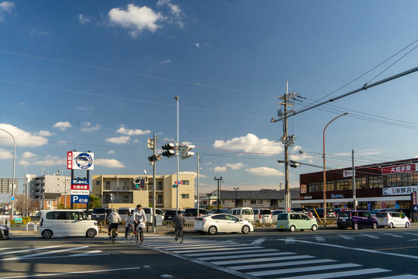 クイズ-2312241