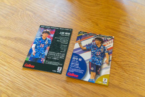 W杯-2212025