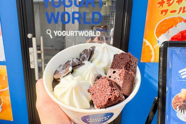 高槻市高槻町 YOGURTWORLD オレオワールド