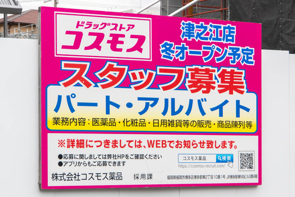 コスモス20251105124013