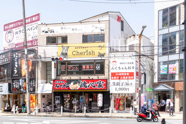 cherish20240417114234