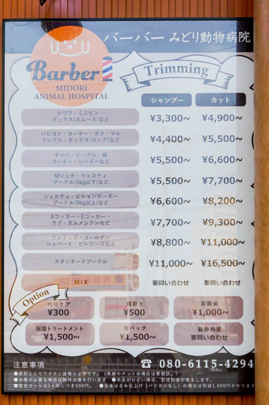バーバーみどり動物病院-202201292