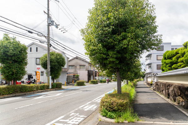 ふるり20250905112155