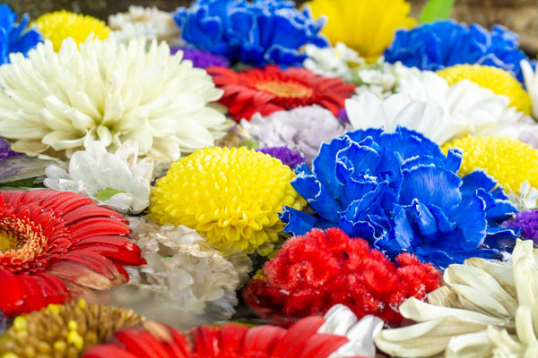 野見神社20210706144947