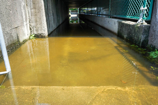 アンダーパス-202205233