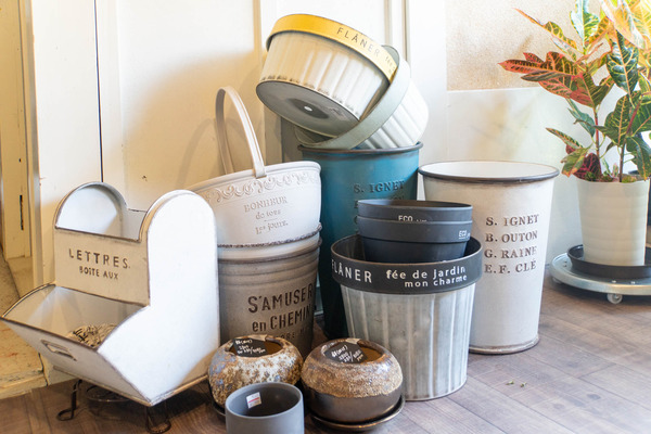 merryplants20240619102622