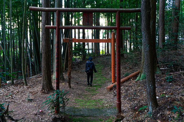 稲荷神社-20121111